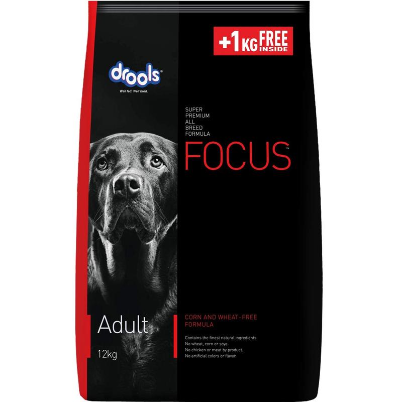 Drools Focus Dog Food (Adult)
