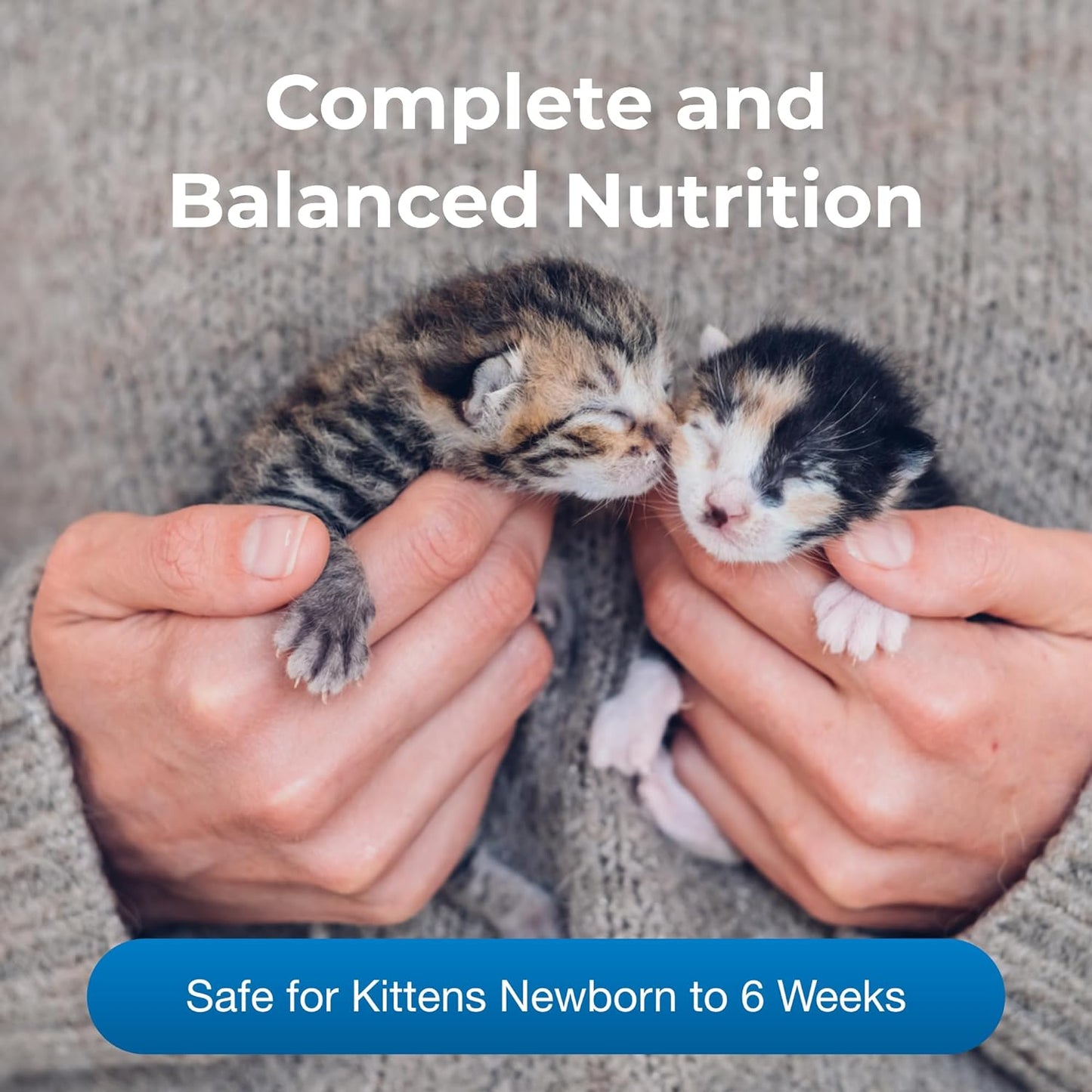 PetLac KMR Kitten Milk Replacer 200 gm