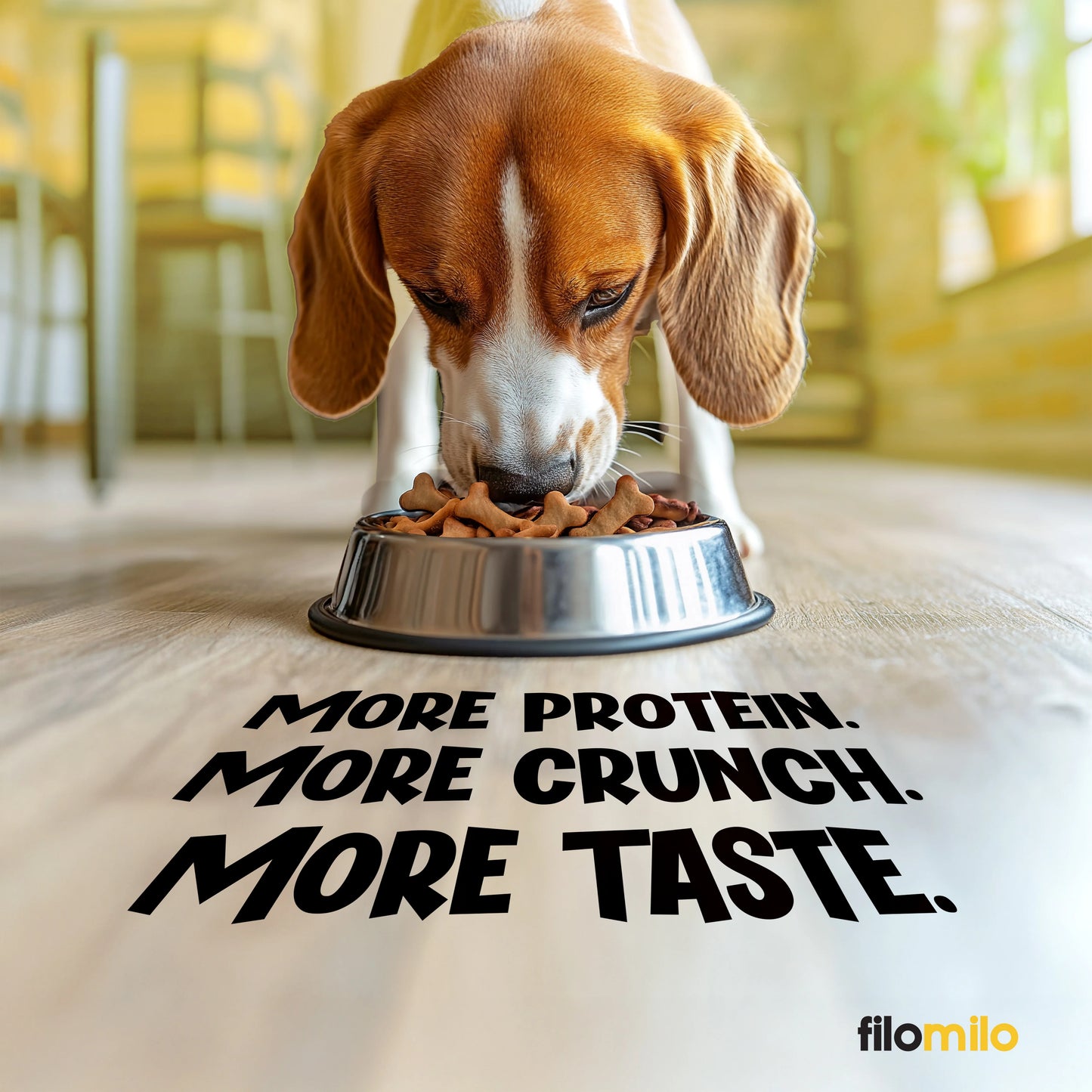 Filomilo Dog Biscuits - Milk