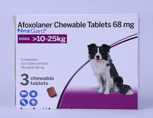 NexGard Chewable Tablets