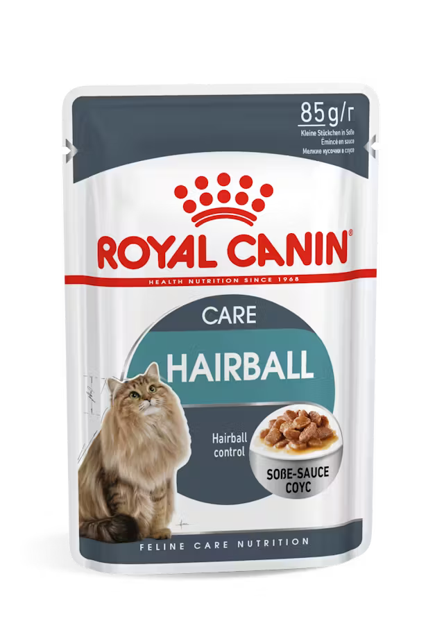 Royal Canin Cat Wet Food (Hariball Care)
