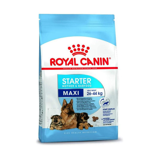 Royal Canin Maxi Starter